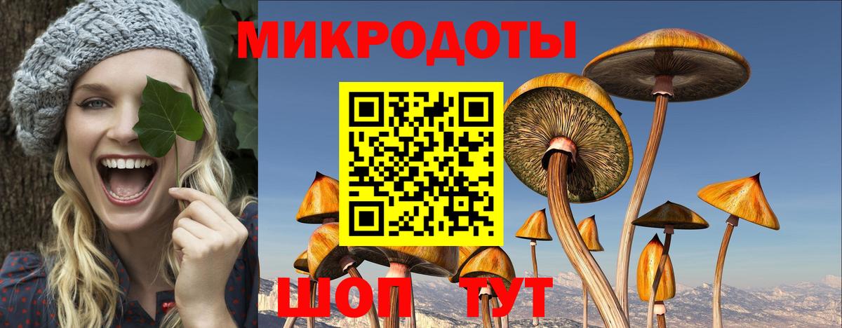 Моздок  Галлюциногенные грибы Psilocybe  Вход с VPN 